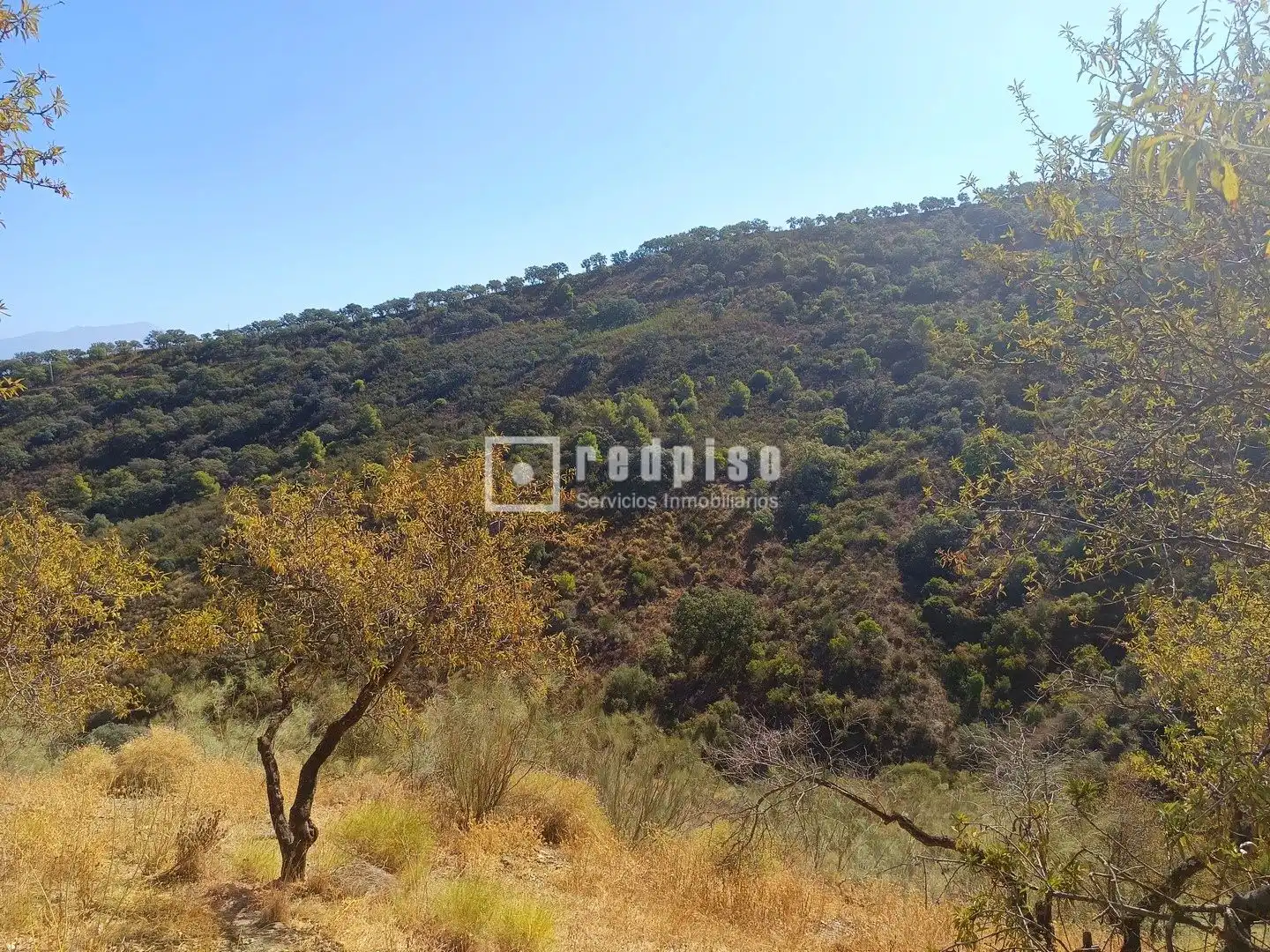 Residencial en venda en Málaga