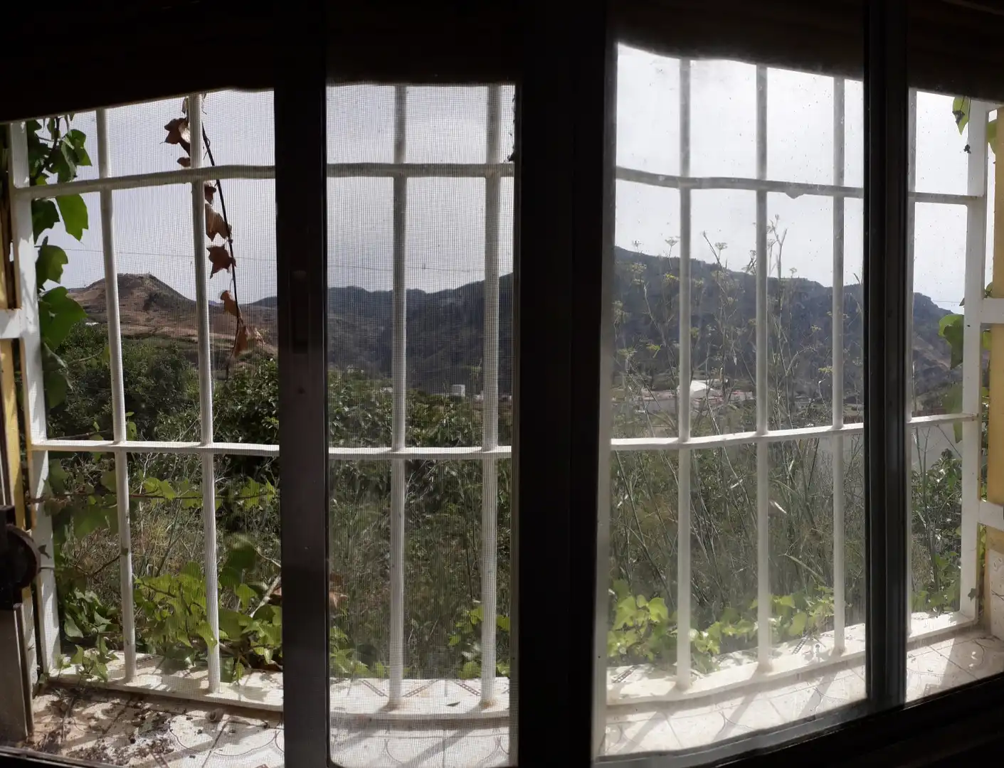 Jardí de Finca rústica en venda en Gáldar amb Terrassa