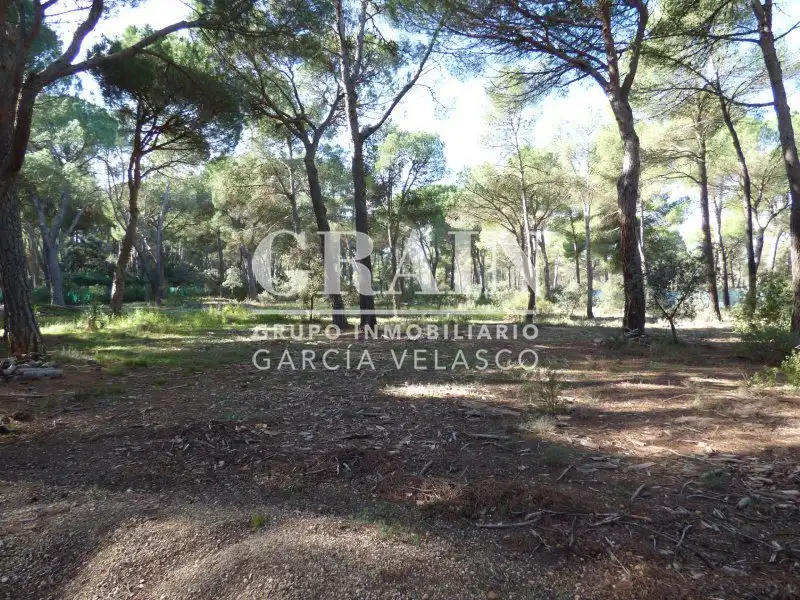 Xalet amb piscina en venda a Pedanías - Extrarradio, imagen 54