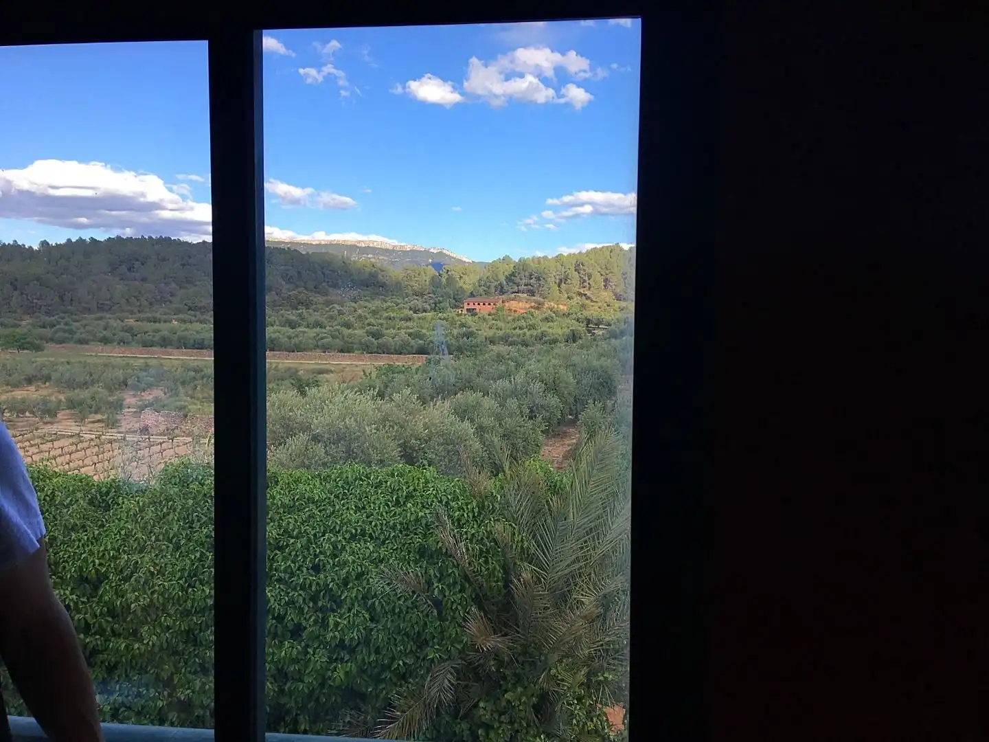 Garden of Houses for sale in Els Guiamets