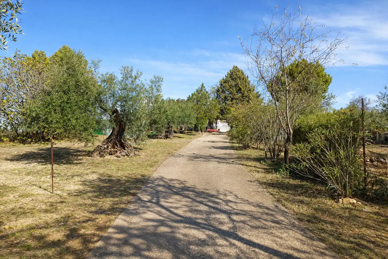 Casa o chalet en venta en Zafra con Jardín privado, Trastero y Piscina