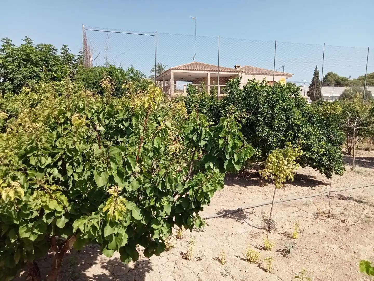Villa mit Garten zum Verkauf in Pedanías Norte, imagen 40