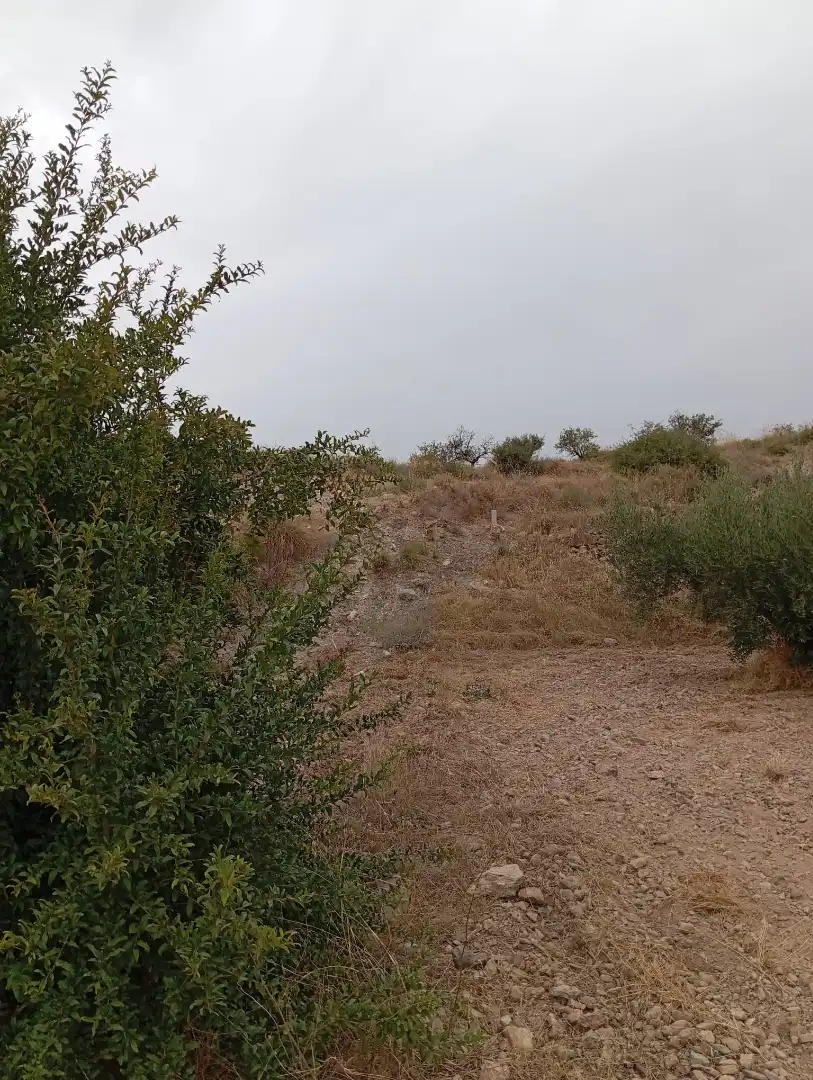 Terreni e lotti in vendita a Bolnuevo, imagen 24
