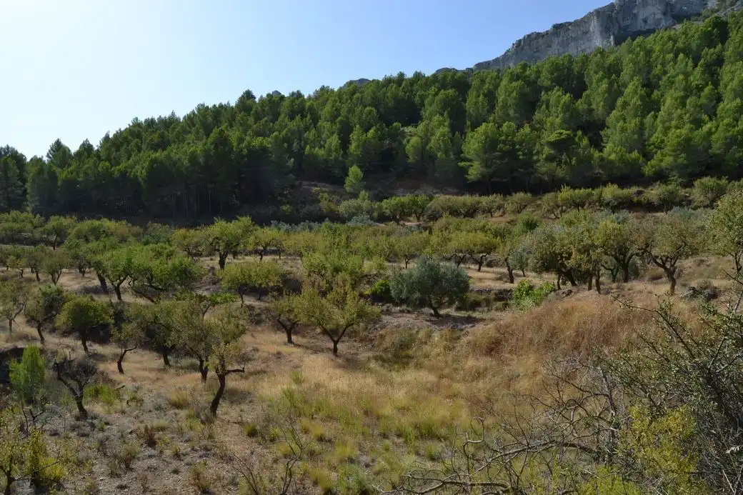 Residencial en venta en Benimantell, Alicante