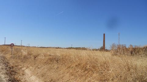 Foto 3 de Terreny en venda a Calle Arrabal Baja, 2, Villamuriel de Campos, Valladolid