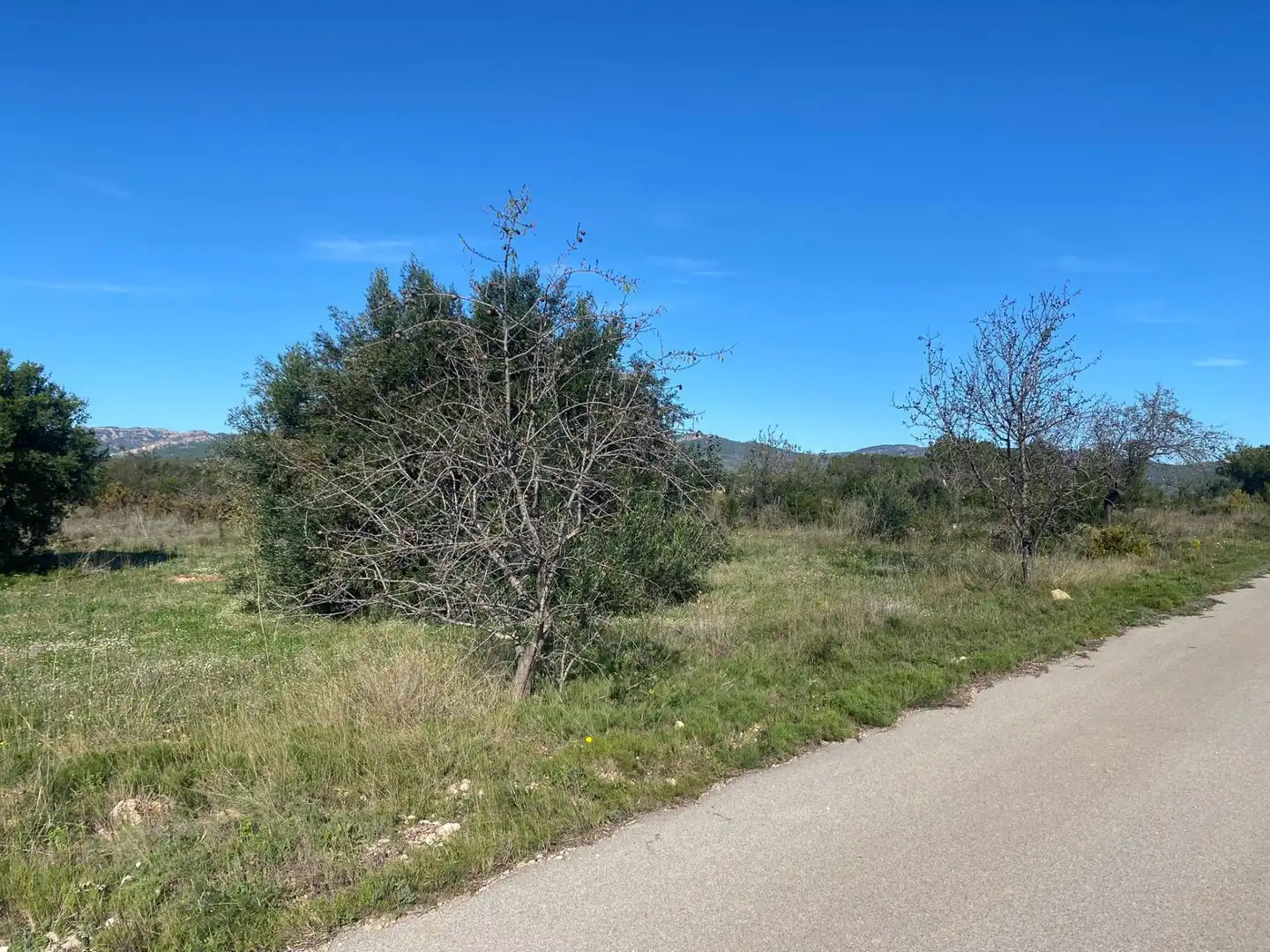 Terrain rustique à vendre à El Pont d'Armentera, imagen 19