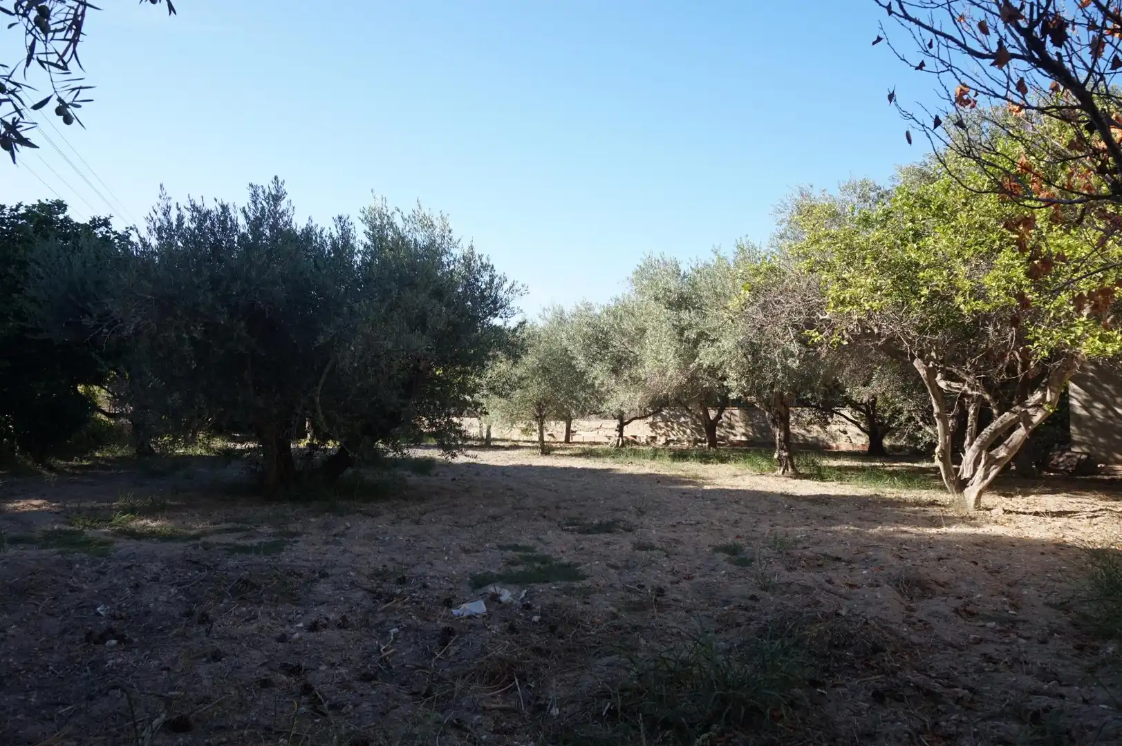 Casa o xalet en venda en Elche / Elx amb Jardí privat, Terrassa i Traster