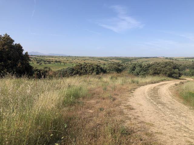 Terreno residencial en Venta en Pelayos del Arroyo