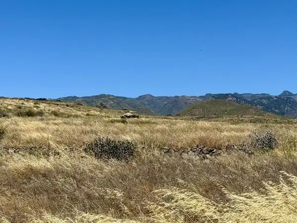Industrial land for sale in La Pardilla - San Antonio