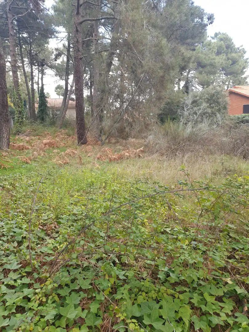 Residential land for sale in Avenida San Sebastián, imagen 6