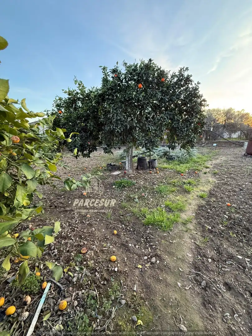 Casa o xalet en venda en Córdoba amb Aire condicionat, Calefacció i Jardí privat