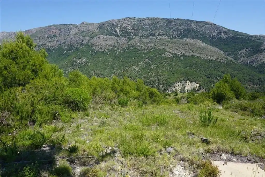 Land for sale in El Castell de Guadalest