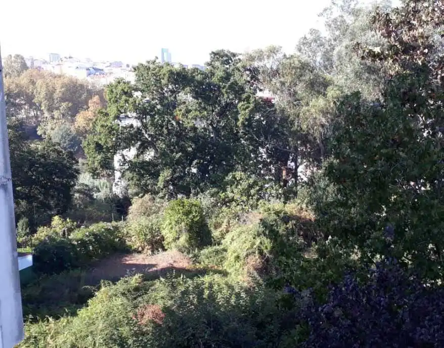 Terrain rustique à vendre à Tr de Vigo, imagen 6