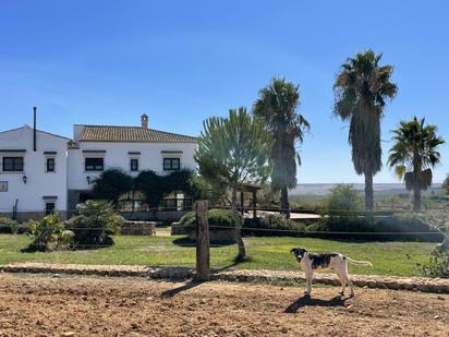 Vista exterior de Finca rústica en venda en Paterna del Campo amb Aire condicionat, Calefacció i Jardí privat