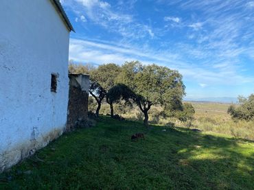 Rural land for sale in La Estrella