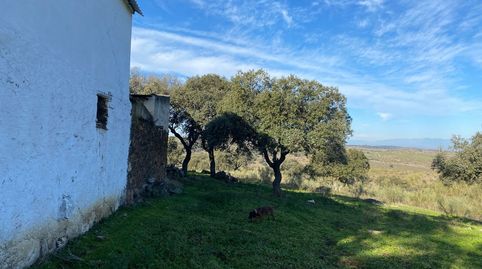 Finca  46,5 has zona Puente del Arzobispo Toledo