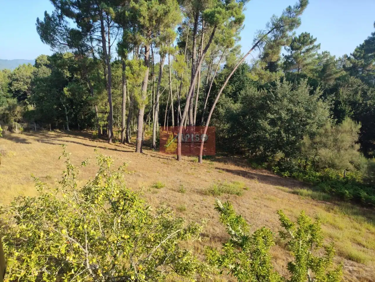 Casa amb terrassa en venda a Amoeiro, imagen 30