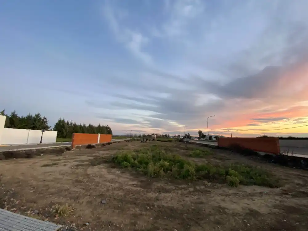 Land for sale in Montijo
