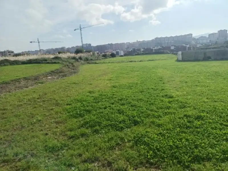 Terreni e lotti in vendita a Monte, imagen 2