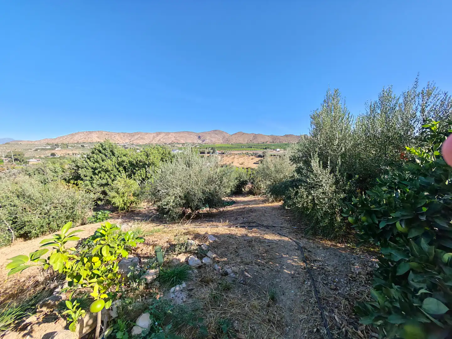 Casa rústica amb jardí en venda a Alquería - Torrealquería, imagen 32
