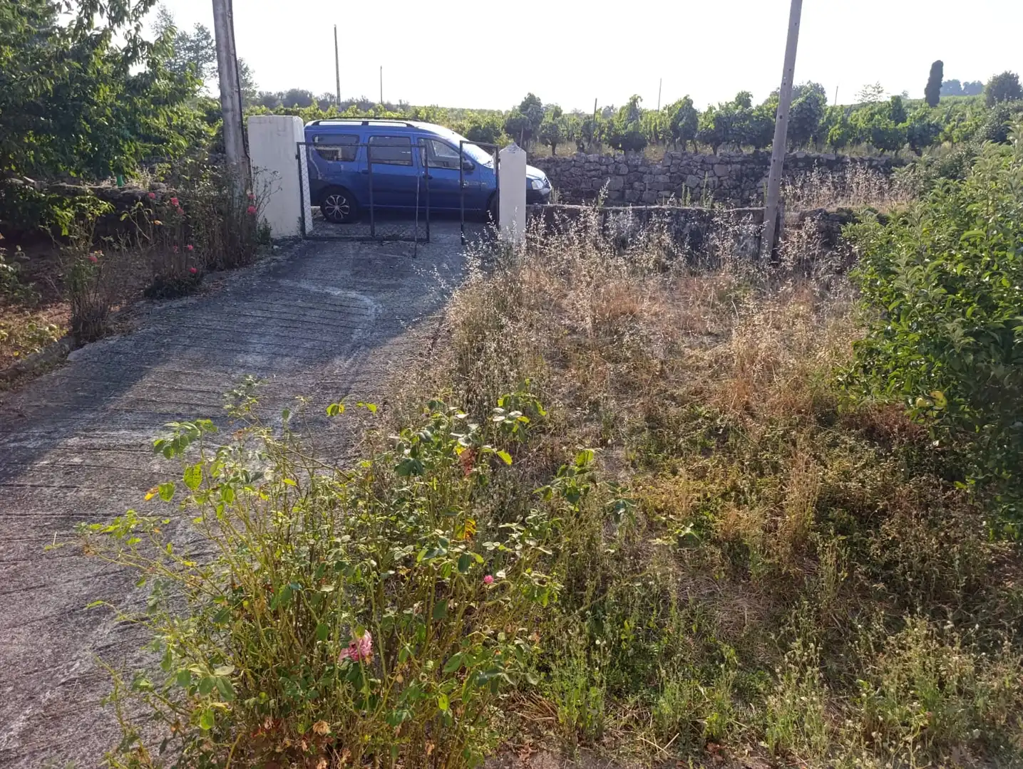 Casa amb jardí en venda a Pantón, imagen 11