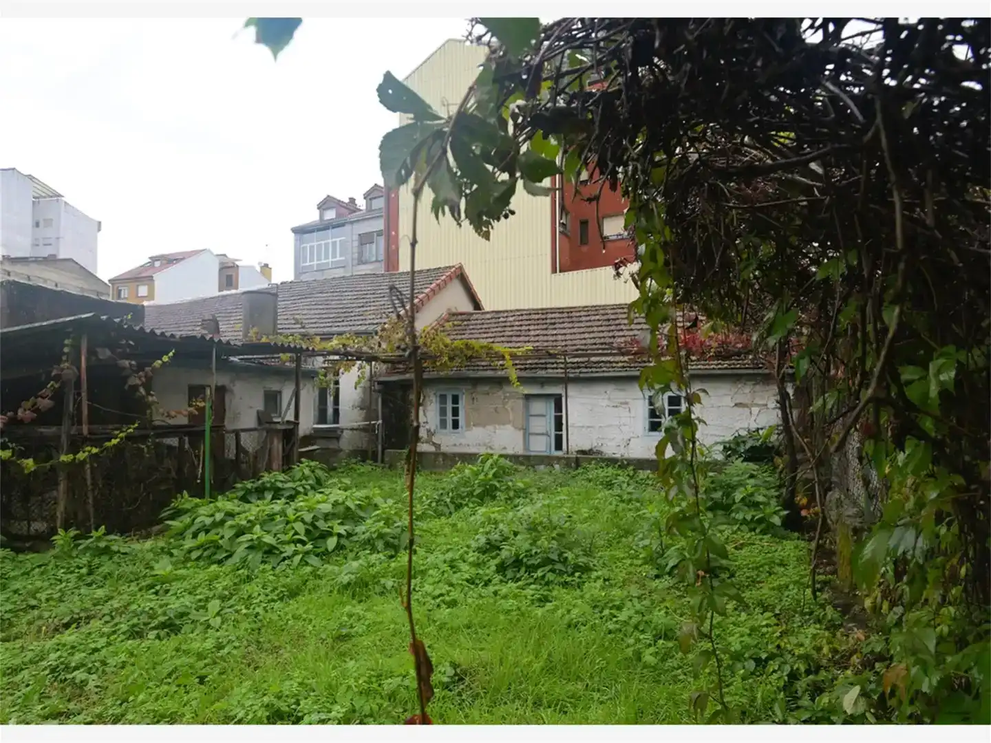 Finca rústica en venda en O Carballiño  