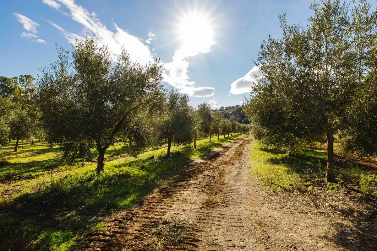 Casa con terraza en venta en Cmo. Diseminado Entrerrios, imagen 54
