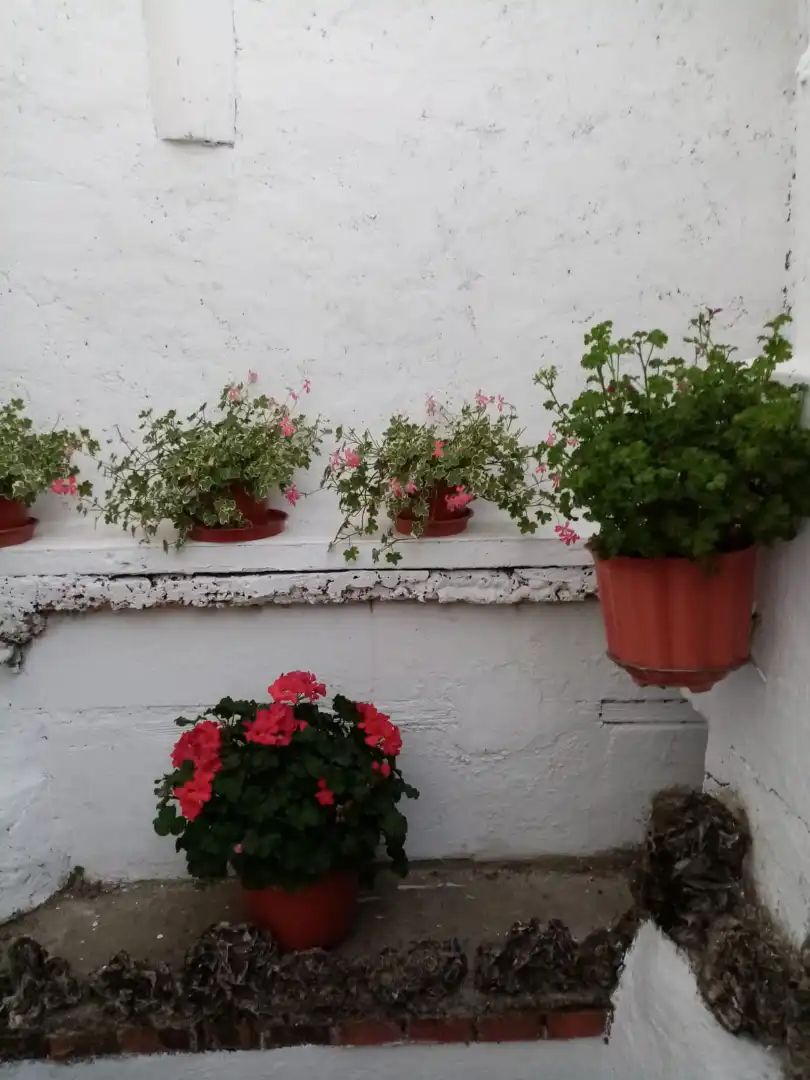Terrassa de Casa o xalet en venda en Íscar amb Calefacció, Jardí privat i Terrassa