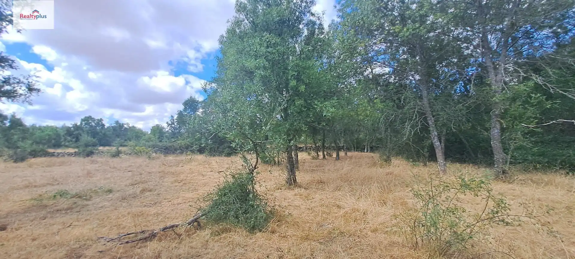 Terreni e lotti in vendita a Sotosalbos, imagen 10
