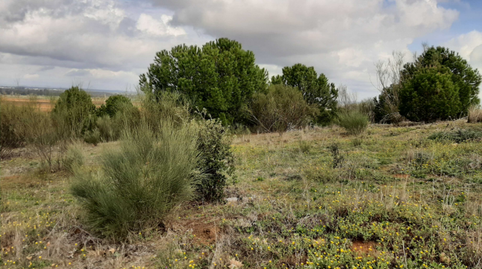 Photo 4 of Residential for sale in Nus-20 Golf Guadiana, Manzanas C-3.a, S/n, -1, Carretera de Sevilla - Los Montitos, Badajoz