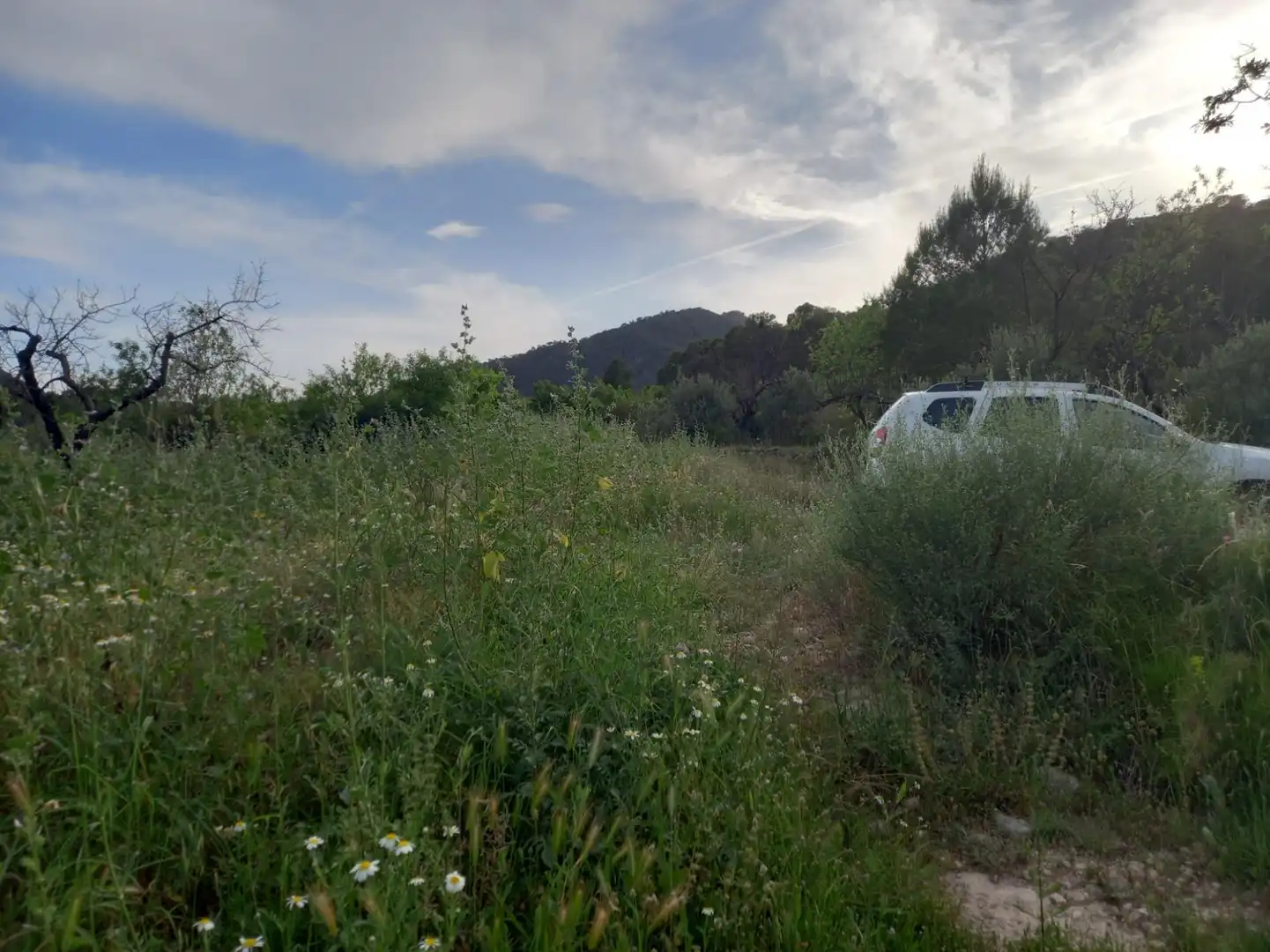 Rural land for sale in El Pinell de Brai, imagen 4