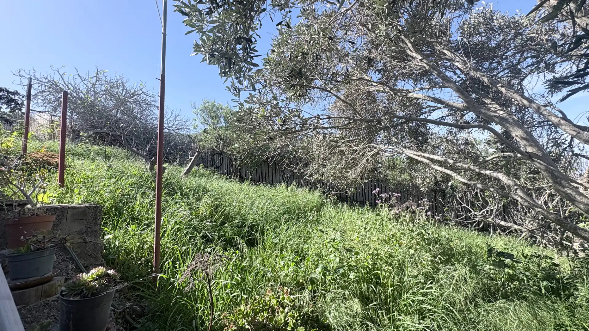 Casa amb jardí en venda a Los Quintana - Piso Firme, imagen 22