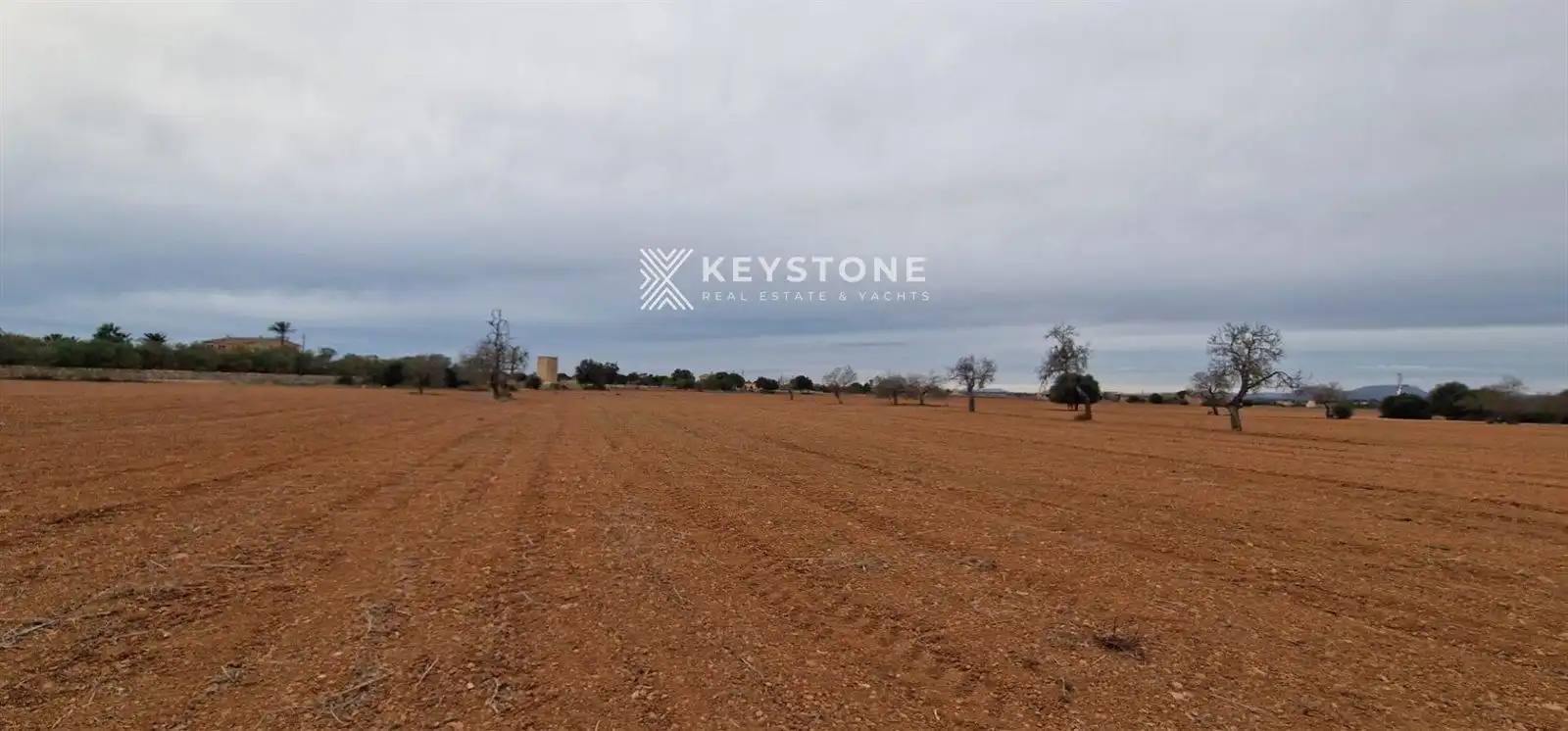 Finca rústica en venta en Campos poble