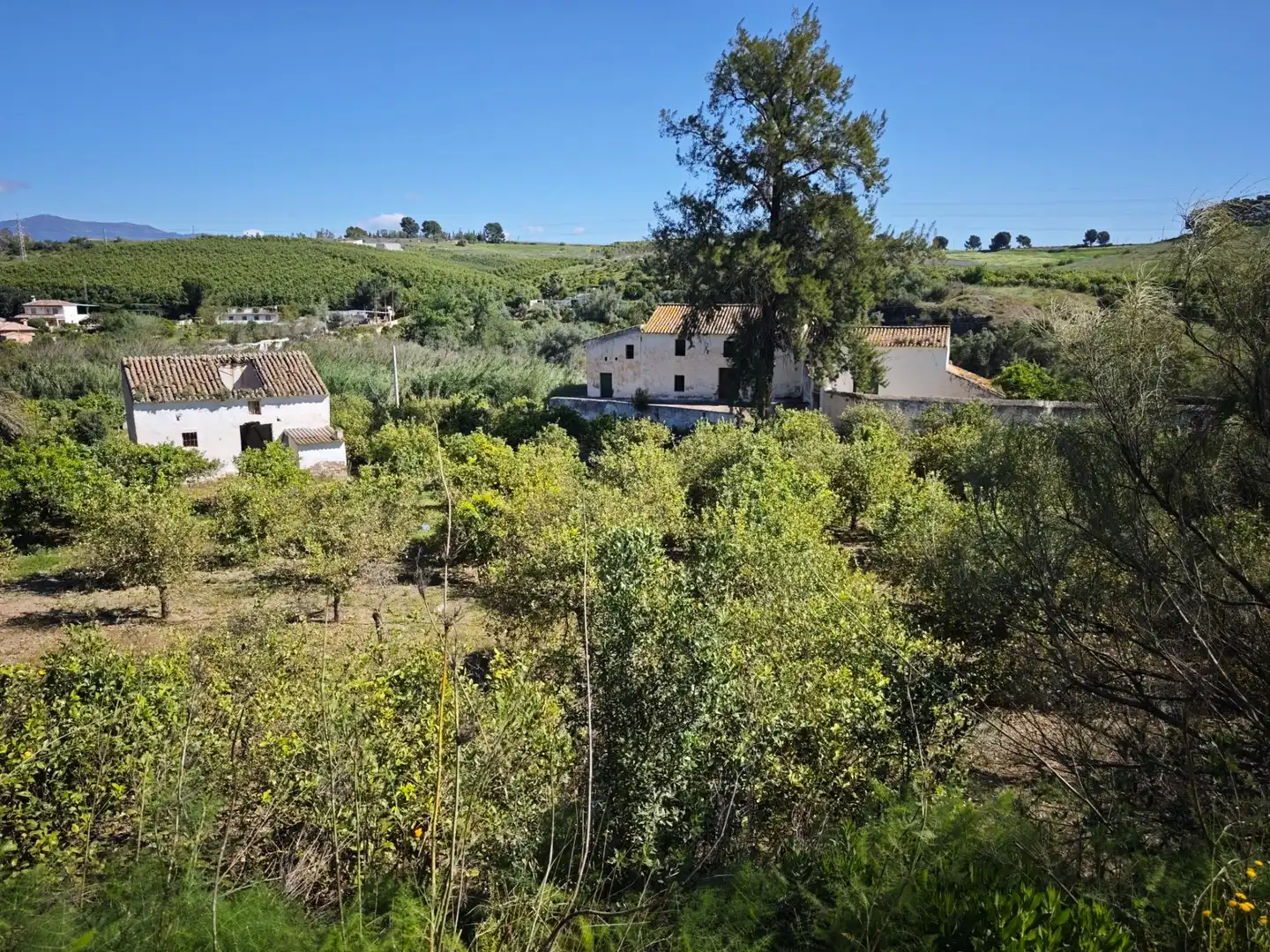Finca rústica en venda en Cártama