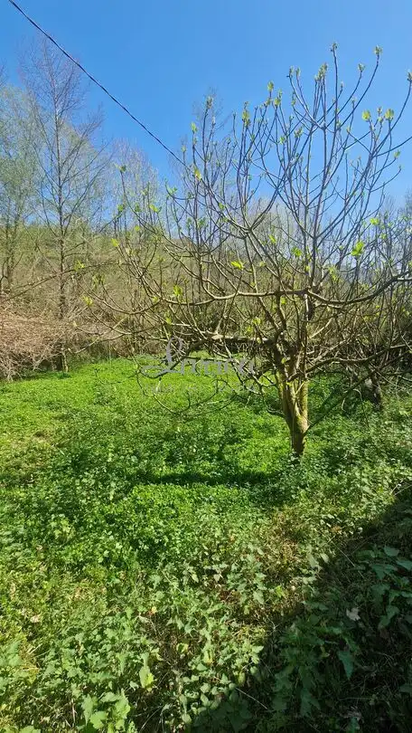 Finca rústica en venda en Igorre amb Calefacció, Jardí privat i Terrassa