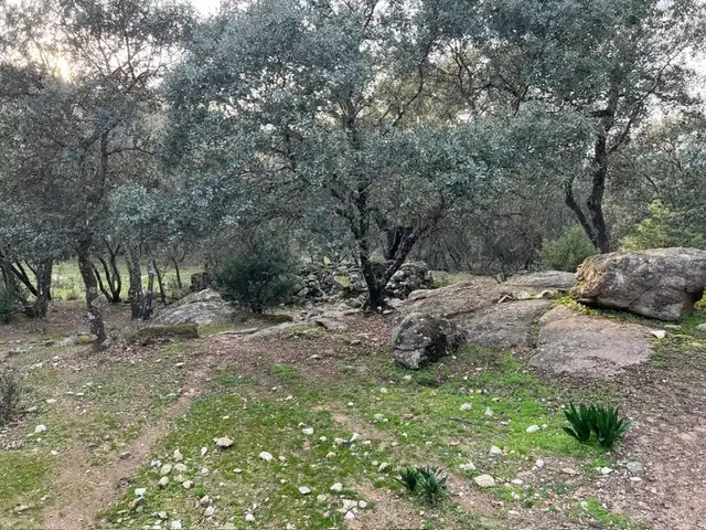 Terreno en venta en Almendral de la Cañada, Toledo