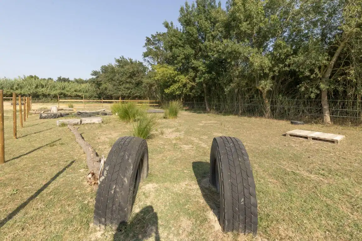 Rural land for sale in Carretera, imagen 21
