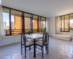 Apartment to rent in  BELGICA, 5, Juzgados - Plaza de Toros