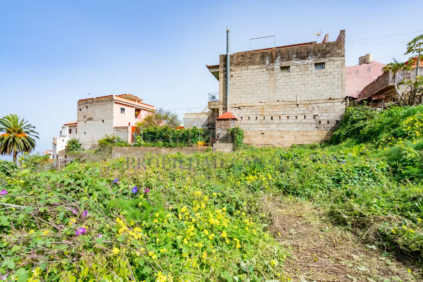 Finca rústica en venda en La Victoria de Acentejo
