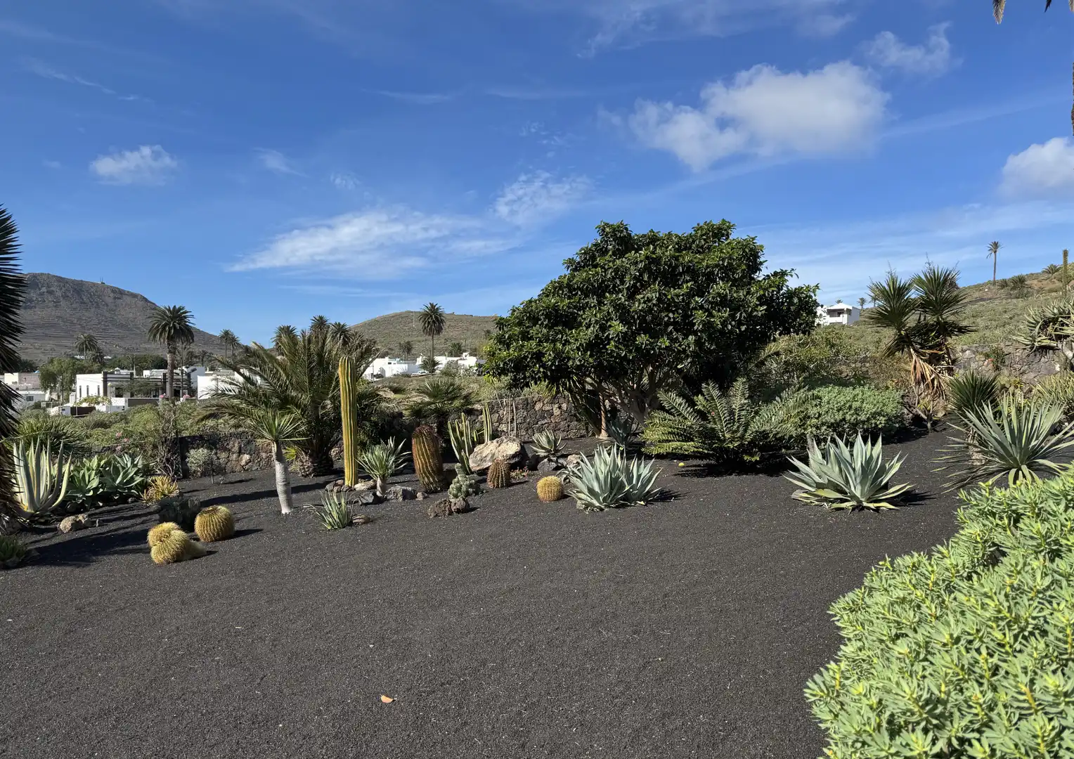 Jardín de Casa o chalet en venta en Haría con Jardín privado y Amueblado