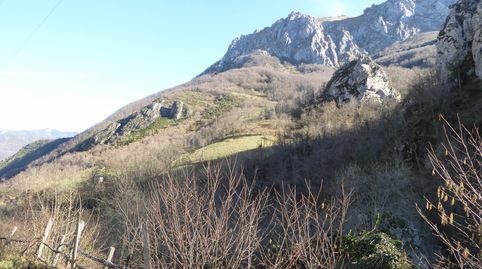 FINCA CON CABAÑA EN PLENA NATURALEZA, immagine 5