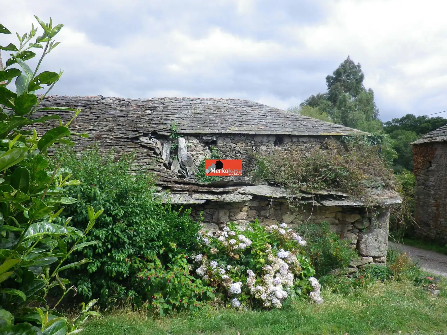 Vista exterior de Finca rústica en venta en Friol