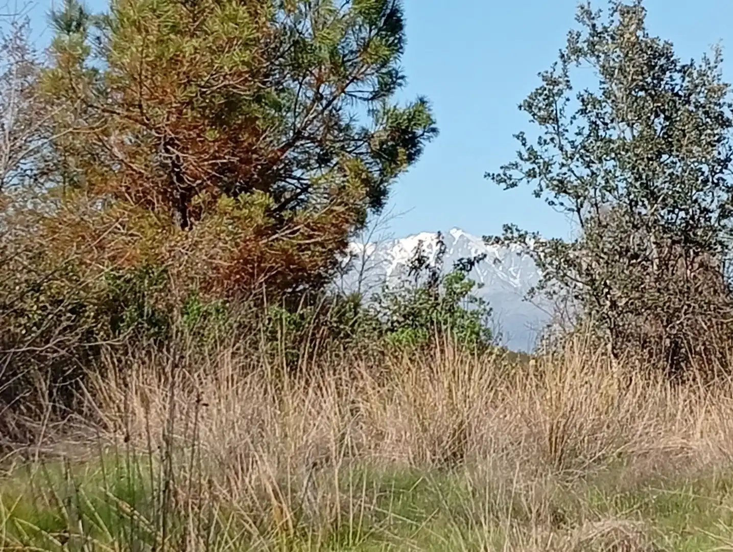 Terreni e lotti in vendita a Villanueva de la Vera, imagen 41