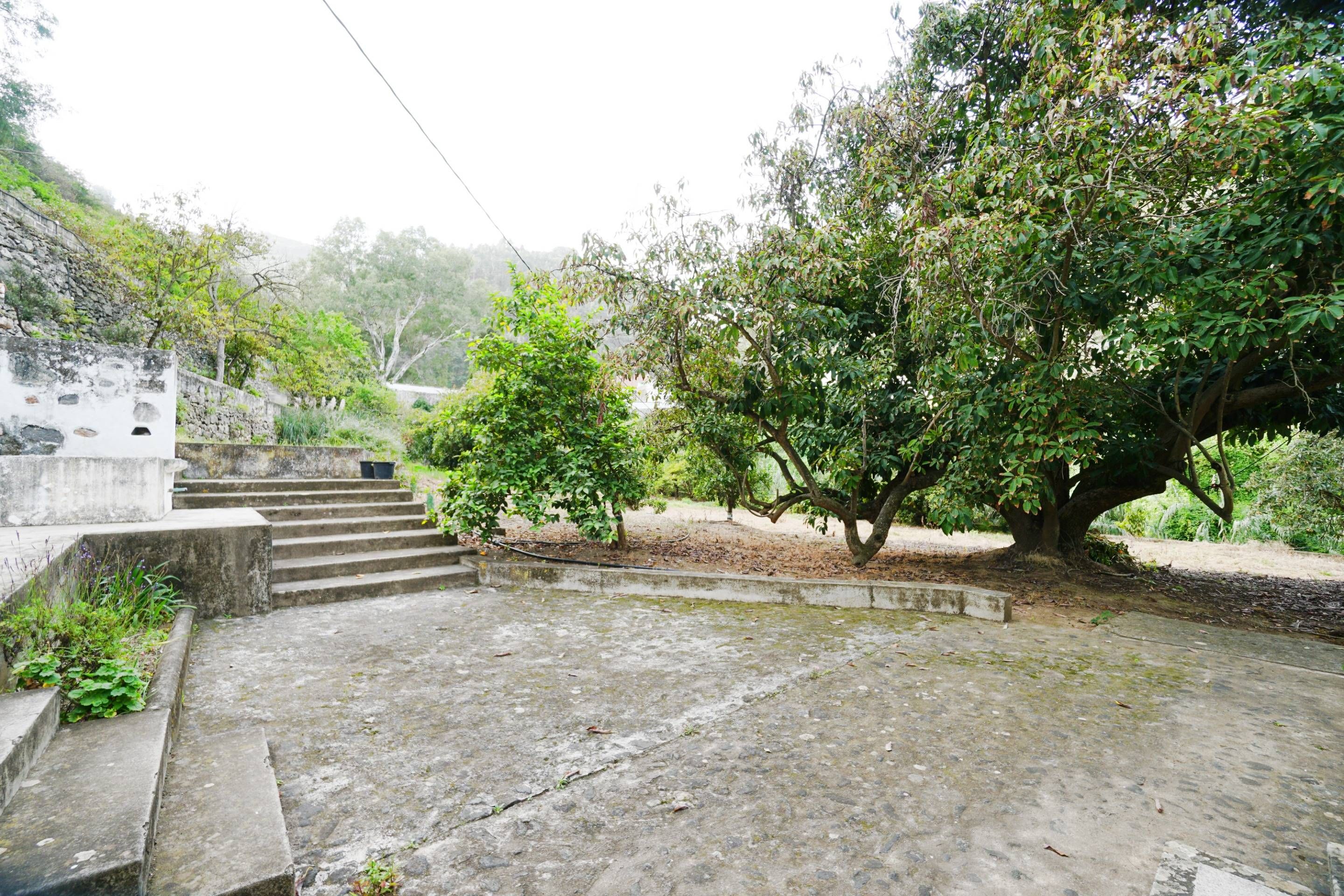 Garden of Country house for sale in Teror  with Private garden and Terrace