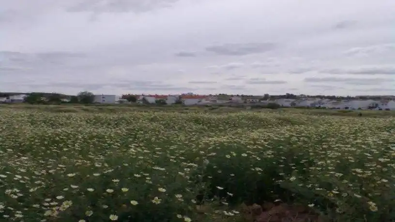 Terreny industrial en venda a Carrión de los Céspedes