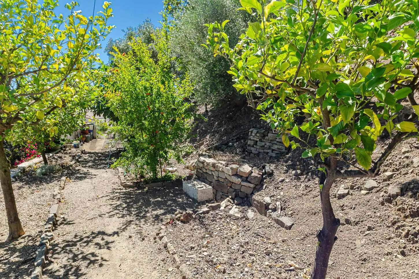 Casa o xalet en venda en Canillas de Albaida amb Jardí privat, Terrassa i Traster