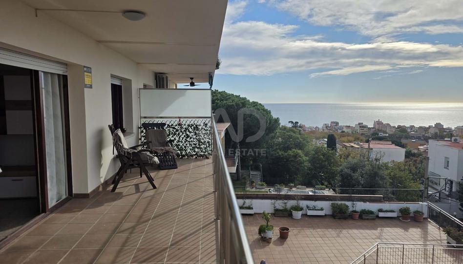 Foto 1 de Pis en venda a Califòrnia - Santa Madrona, Barcelona