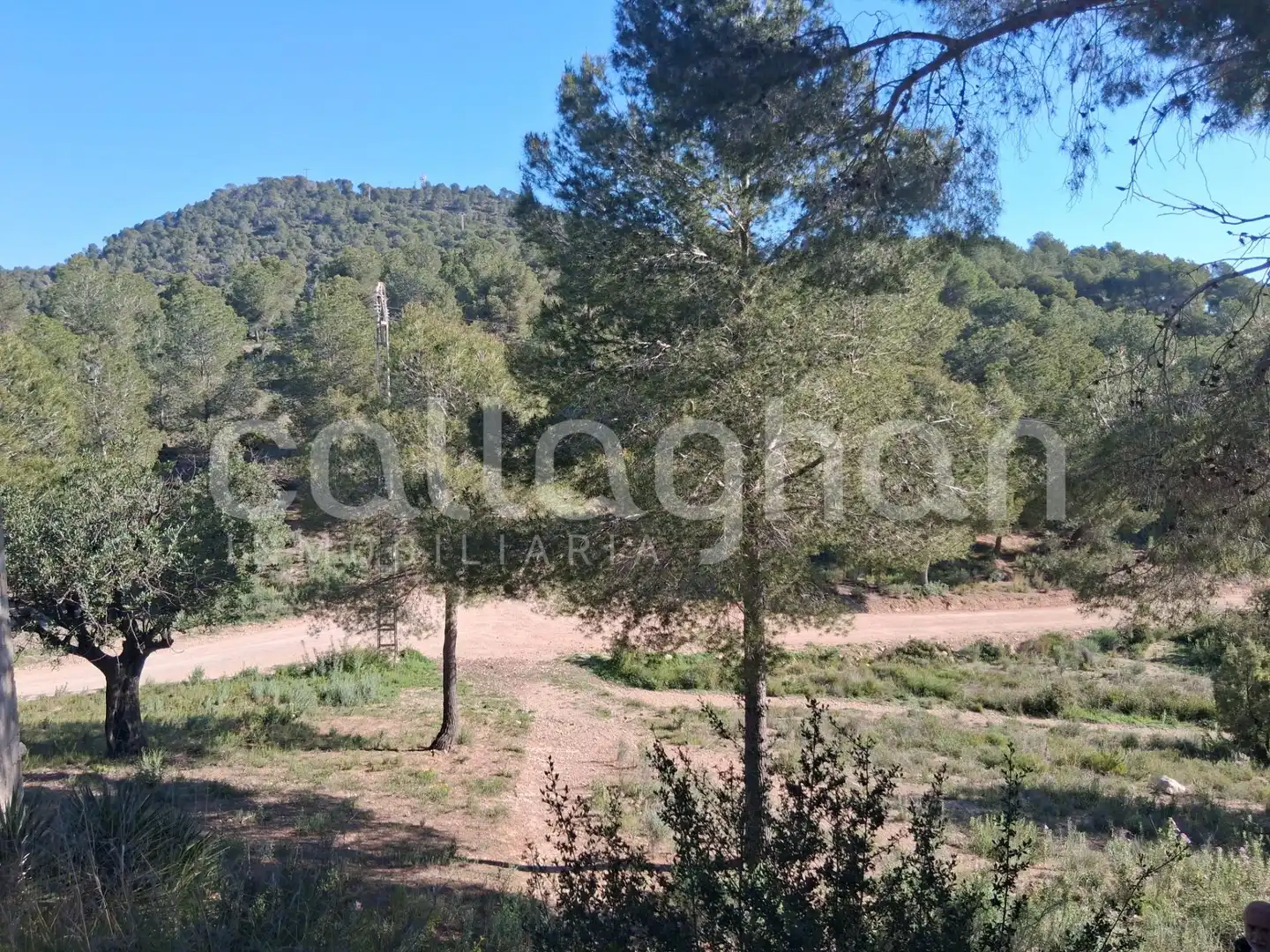 Residential land for sale in Camino de la Creu d'Horquera, imagen 8