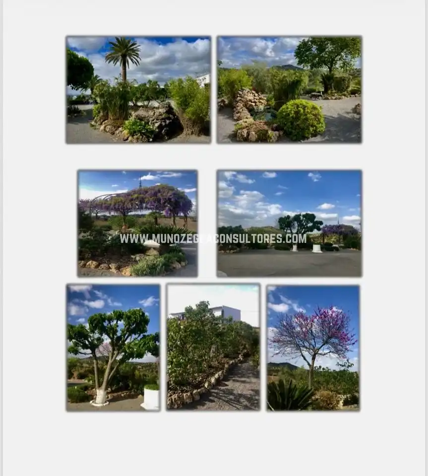Jardí de Casa o xalet en venda en Lucena amb Aire condicionat, Jardí privat i Terrassa