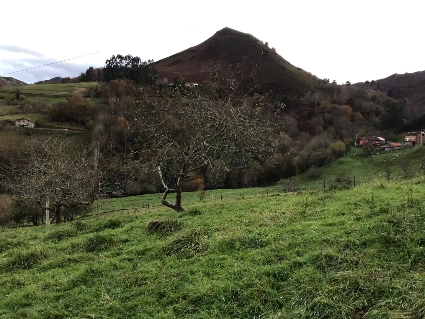 Terreni e lotti in vendita a Cangas de Onís, imagen 14